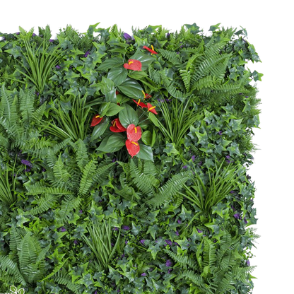 عشب جداريB004
